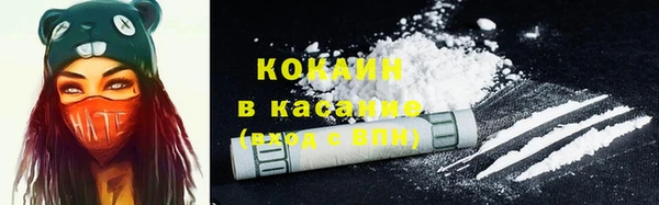 крисы Бугульма