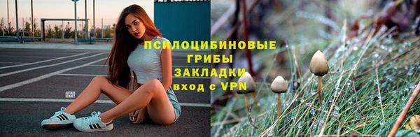 крисы Бугульма