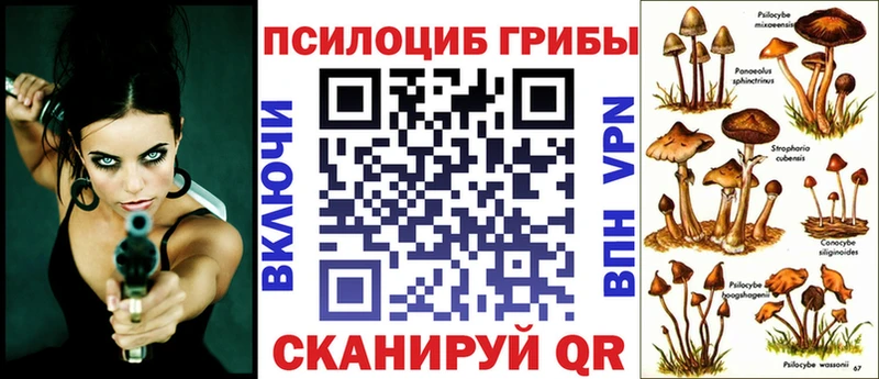 omg как войти  как найти закладки  Клин  Галлюциногенные грибы GOLDEN TEACHER 